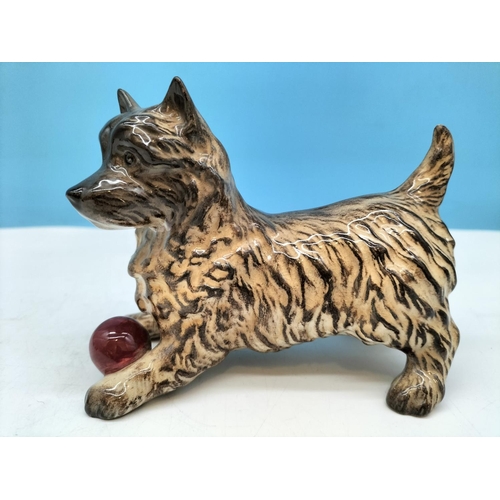 349 - Beswick Figure of a Cairn Terrier with Red Ball. 11cm High x 13cm.