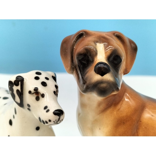 400 - Beswick Dog Figures (2), Dalmatian and Boxer. Largest 9cm High x 13cm.