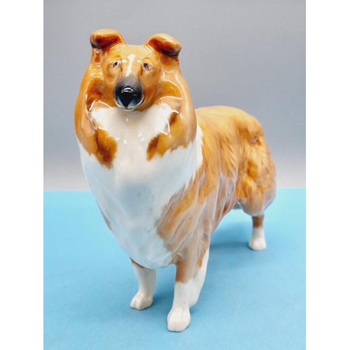 470 - Beswick Figure of a Collie Dog 'Lochinver of Lady Park'. 14cm High x 20cm.