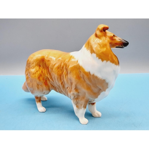 470 - Beswick Figure of a Collie Dog 'Lochinver of Lady Park'. 14cm High x 20cm.