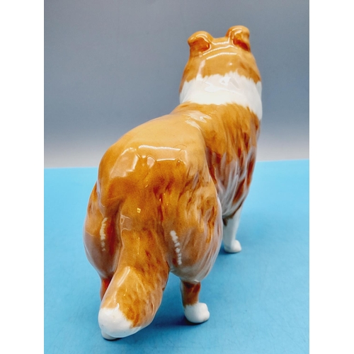 470 - Beswick Figure of a Collie Dog 'Lochinver of Lady Park'. 14cm High x 20cm.