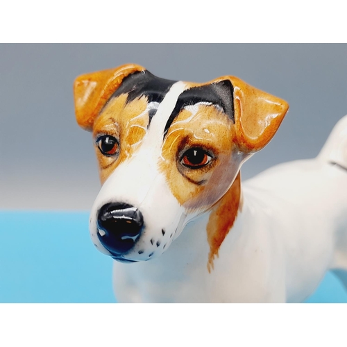 505 - Beswick Figure of a Jack Russell Terrier. Model 2023. 13cm High x 16cm.