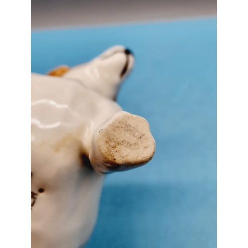 505 - Beswick Figure of a Jack Russell Terrier. Model 2023. 13cm High x 16cm.