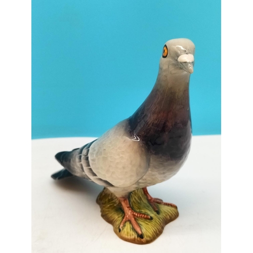 51 - Beswick Figure of a Pigeon 1383. Alternative Colourway. 15cm High, 16cm x 7cm.