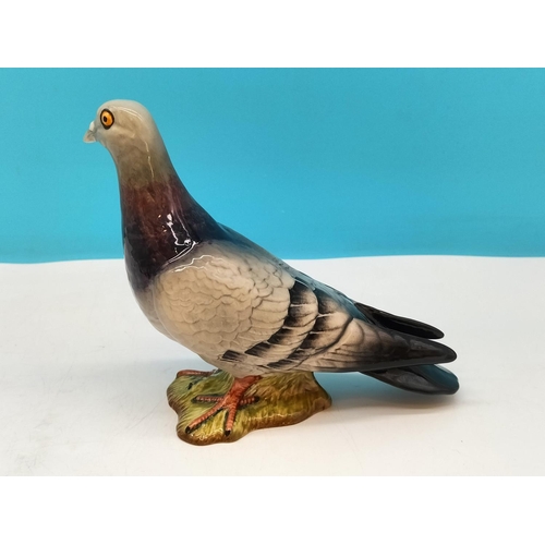 51 - Beswick Figure of a Pigeon 1383. Alternative Colourway. 15cm High, 16cm x 7cm.