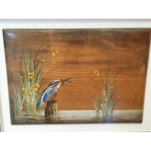 71 - Framed and Mounted Hand Painted Wooden Panel 'Kingfisher' by C. Beresford Hopkins a Royal Doulton Ar... 