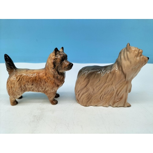 95 - Beswick Dogs Figures (2), Cairn Terrier and Yorkshire Terrier. Largest 9cm x 8cm.