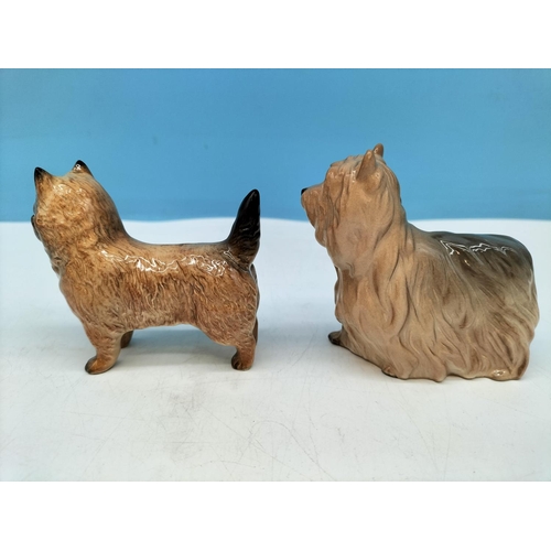 95 - Beswick Dogs Figures (2), Cairn Terrier and Yorkshire Terrier. Largest 9cm x 8cm.