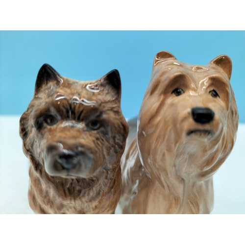 95 - Beswick Dogs Figures (2), Cairn Terrier and Yorkshire Terrier. Largest 9cm x 8cm.