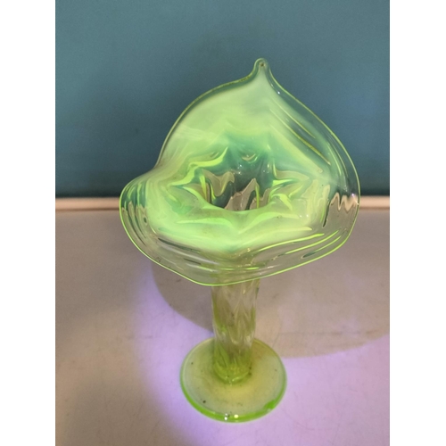 83 - Uranium Glass Jack in Pulpit 20cm Vase. Small Nip to Base