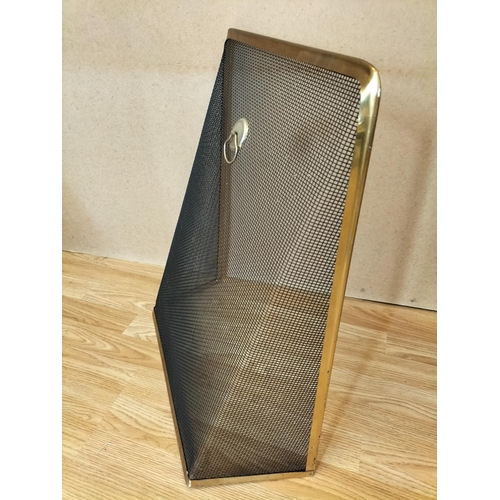 481 - Slimline Metal Fireguard. 58cm High, 51cm x 20cm.