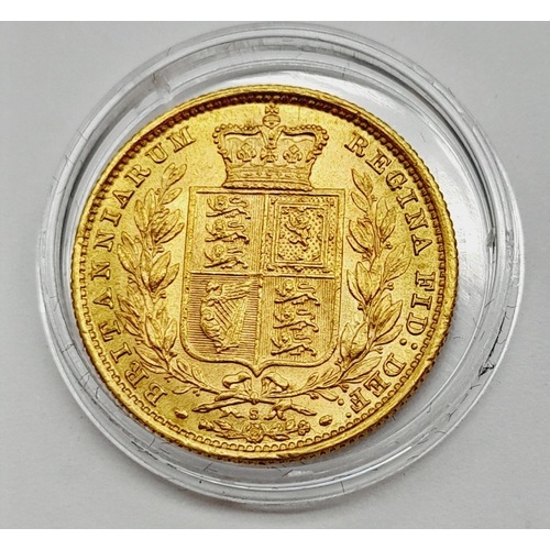 Lot 13        