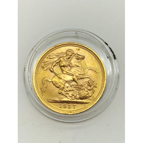 Lot 49        