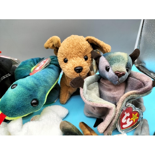 119 - 10 x TY Beanie Babies (1995-2000) to include 1995 'Ringo' and 'Claude the Crab' 1996.