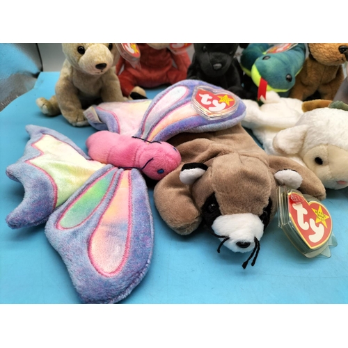 119 - 10 x TY Beanie Babies (1995-2000) to include 1995 'Ringo' and 'Claude the Crab' 1996.