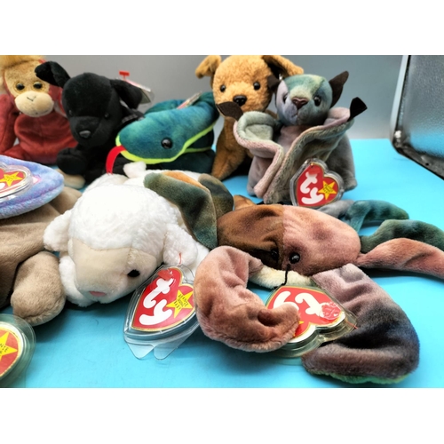 119 - 10 x TY Beanie Babies (1995-2000) to include 1995 'Ringo' and 'Claude the Crab' 1996.