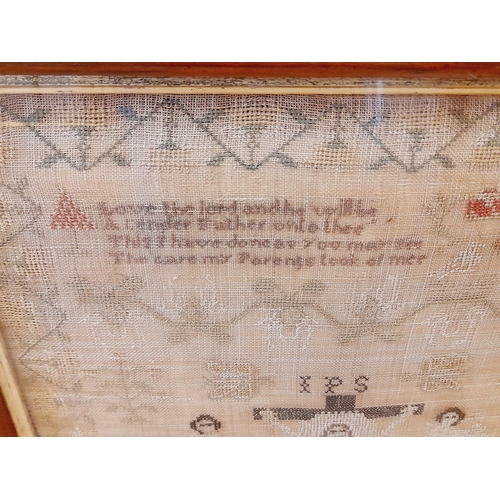 15 - Framed Early 18th Century Georgian Stitch Work Sample by 'Marina Cook  Work This In The 13 Year of H... 