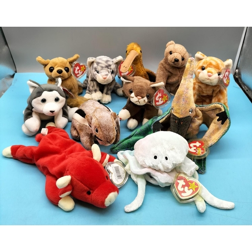 219 - 11 x TY Beanie Babies to include Snort, Swoop, Nanook, Chipper, Pounce, Goochy, etc.