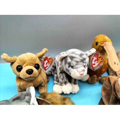 219 - 11 x TY Beanie Babies to include Snort, Swoop, Nanook, Chipper, Pounce, Goochy, etc.