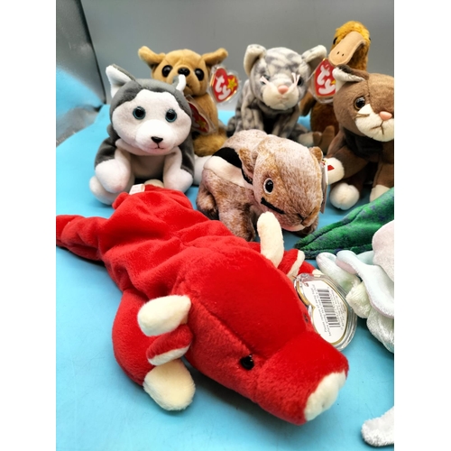 219 - 11 x TY Beanie Babies to include Snort, Swoop, Nanook, Chipper, Pounce, Goochy, etc.
