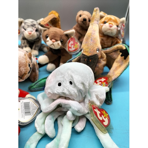 219 - 11 x TY Beanie Babies to include Snort, Swoop, Nanook, Chipper, Pounce, Goochy, etc.