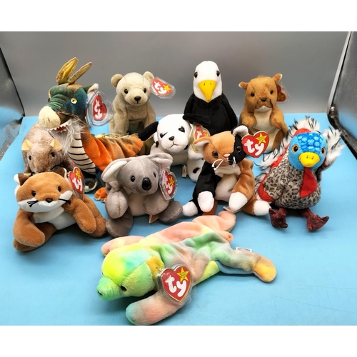 319 - 11 x TY Beanie Babies to include Sammy, Lurkey, Dragon, Dotty, Chip, Tiptoe, etc.