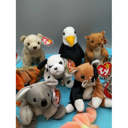 319 - 11 x TY Beanie Babies to include Sammy, Lurkey, Dragon, Dotty, Chip, Tiptoe, etc.