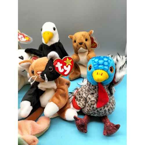 319 - 11 x TY Beanie Babies to include Sammy, Lurkey, Dragon, Dotty, Chip, Tiptoe, etc.
