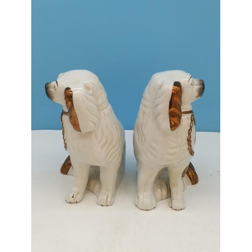 336 - Pair of Mid/Late 19th Century Staffordshire Mantel Dogs, Hand Painted with a Gold Lustre Finish. 22c... 