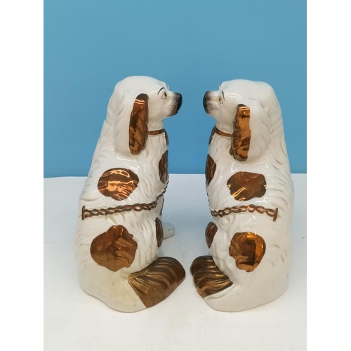 336 - Pair of Mid/Late 19th Century Staffordshire Mantel Dogs, Hand Painted with a Gold Lustre Finish. 22c... 
