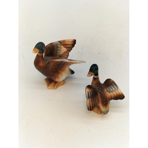 149 - Collection of Ceramic Mallard Duck Figures to include Beswick. Largest 11cm.