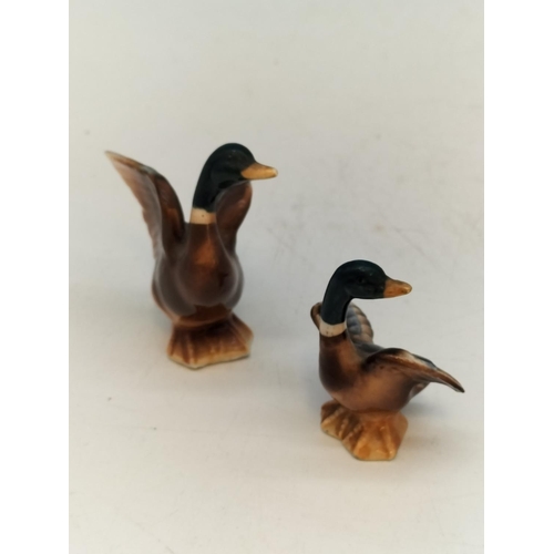 149 - Collection of Ceramic Mallard Duck Figures to include Beswick. Largest 11cm.