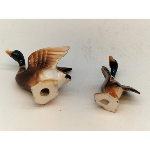 149 - Collection of Ceramic Mallard Duck Figures to include Beswick. Largest 11cm.