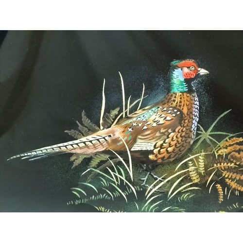 99 - Framed Original Acrylic on Glass 'Pheasant' by H.R.Heatcote 1974. Signed and Dated to Back. 41cm x 3... 