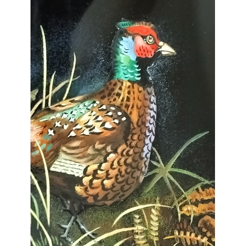 99 - Framed Original Acrylic on Glass 'Pheasant' by H.R.Heatcote 1974. Signed and Dated to Back. 41cm x 3... 