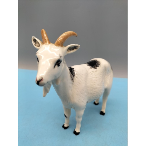 107 - Royal Doulton Figure of a Nigerian Pot Bellied Pygmy Goat. 14cm x 14cm.