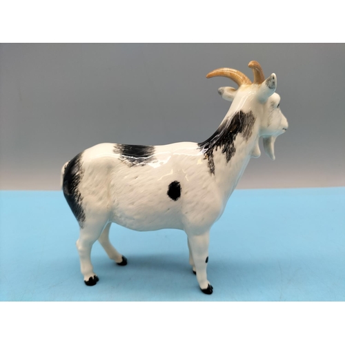 107 - Royal Doulton Figure of a Nigerian Pot Bellied Pygmy Goat. 14cm x 14cm.