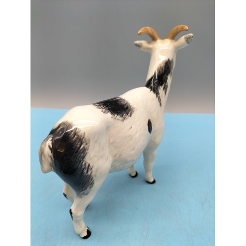 107 - Royal Doulton Figure of a Nigerian Pot Bellied Pygmy Goat. 14cm x 14cm.
