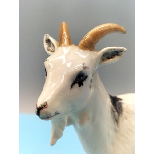 107 - Royal Doulton Figure of a Nigerian Pot Bellied Pygmy Goat. 14cm x 14cm.