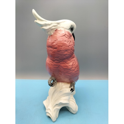 20 - Beswick 27cm Figure of a Rose Breasted Cockatoo 1818.