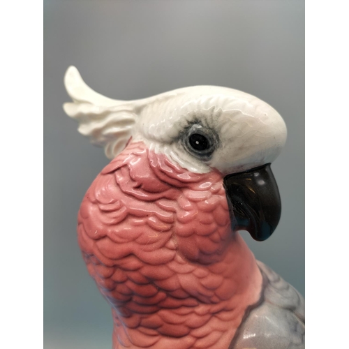 20 - Beswick 27cm Figure of a Rose Breasted Cockatoo 1818.