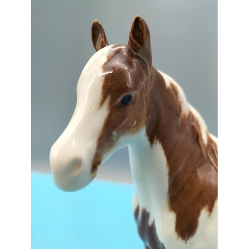 212 - Beswick Figure of a Skewbald Pony. 17cm High x 20cm.