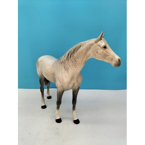 312 - Beswick Figure of a Dapple Grey Bois Roussel Horse. 29cm High x 37cm.