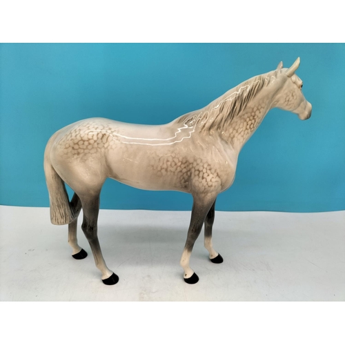 312 - Beswick Figure of a Dapple Grey Bois Roussel Horse. 29cm High x 37cm.