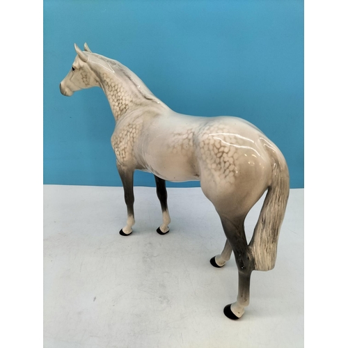 312 - Beswick Figure of a Dapple Grey Bois Roussel Horse. 29cm High x 37cm.