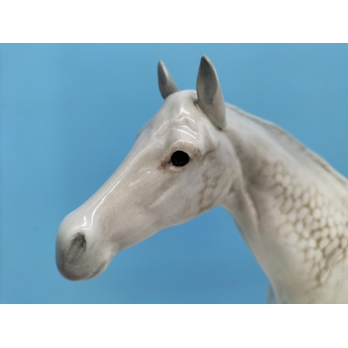 312 - Beswick Figure of a Dapple Grey Bois Roussel Horse. 29cm High x 37cm.