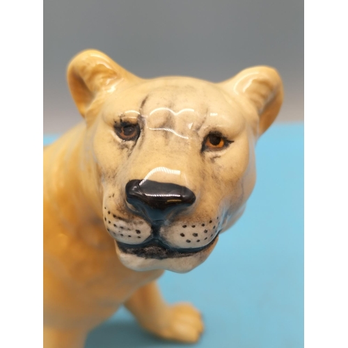 77 - Beswick Figure of a Lioness 2097. 13cm x 22cm.