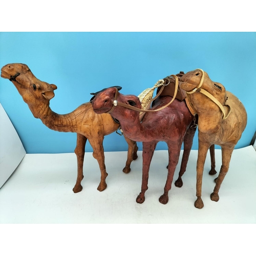 208 - 3 x Large Leather Camels. Largest 34cm High x 30cm.