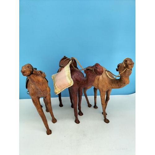 208 - 3 x Large Leather Camels. Largest 34cm High x 30cm.