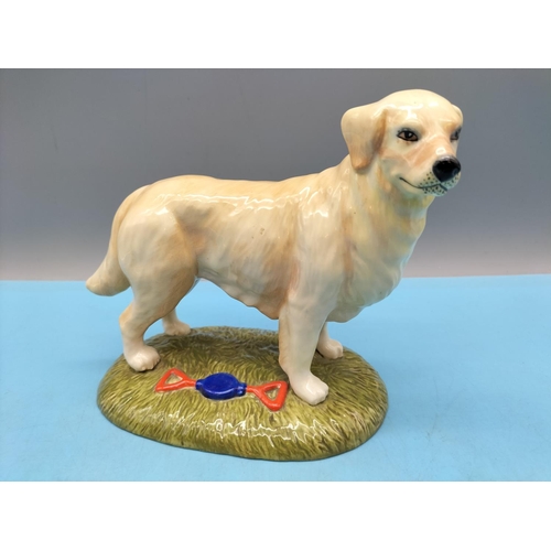 700 - Royal Doulton Gun Dog Collection Figure of a Golden Retriever RDA14. 14cm High x 17cm.